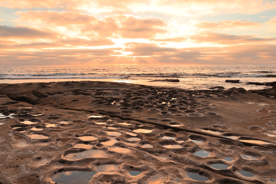 PKK_9869PW.JPG : La Jolla Tied Pools / San Diego