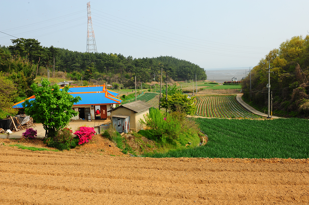 DSC_7307.JPG : 작은 시골 소경.