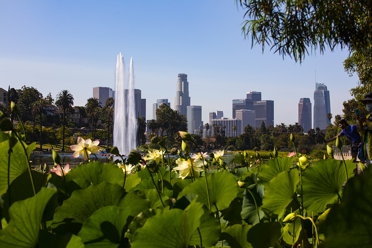 _S5A9924-1a.jpg : Lotus@Echo Park