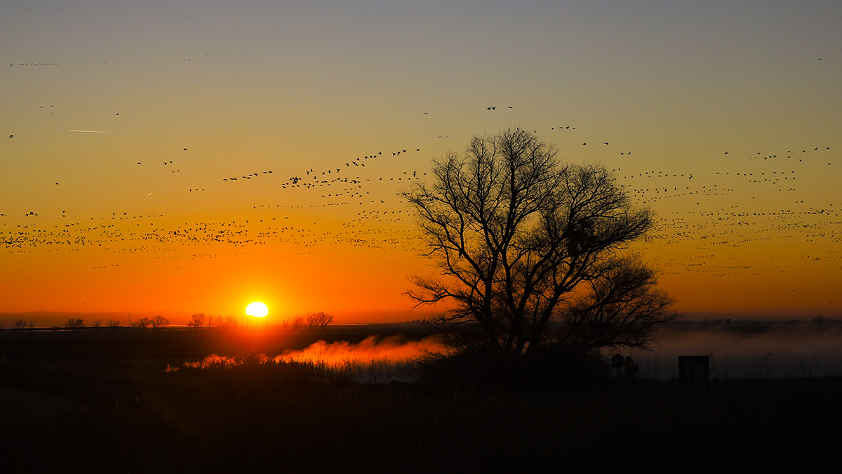 7R6A4513-1a.jpg : Morning of Glory