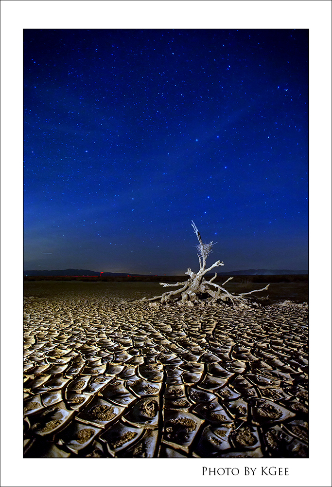 IMG_9351-Edit.jpg : Salton Sea