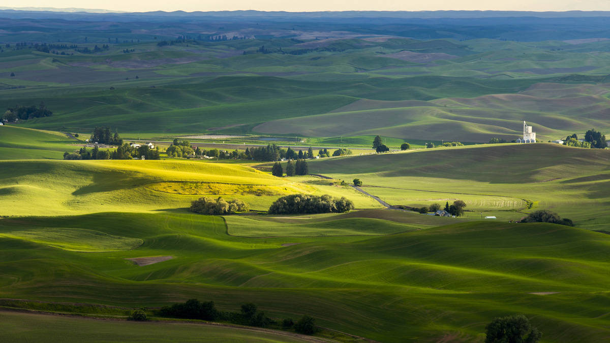 _MG_0253.jpg : Palouse