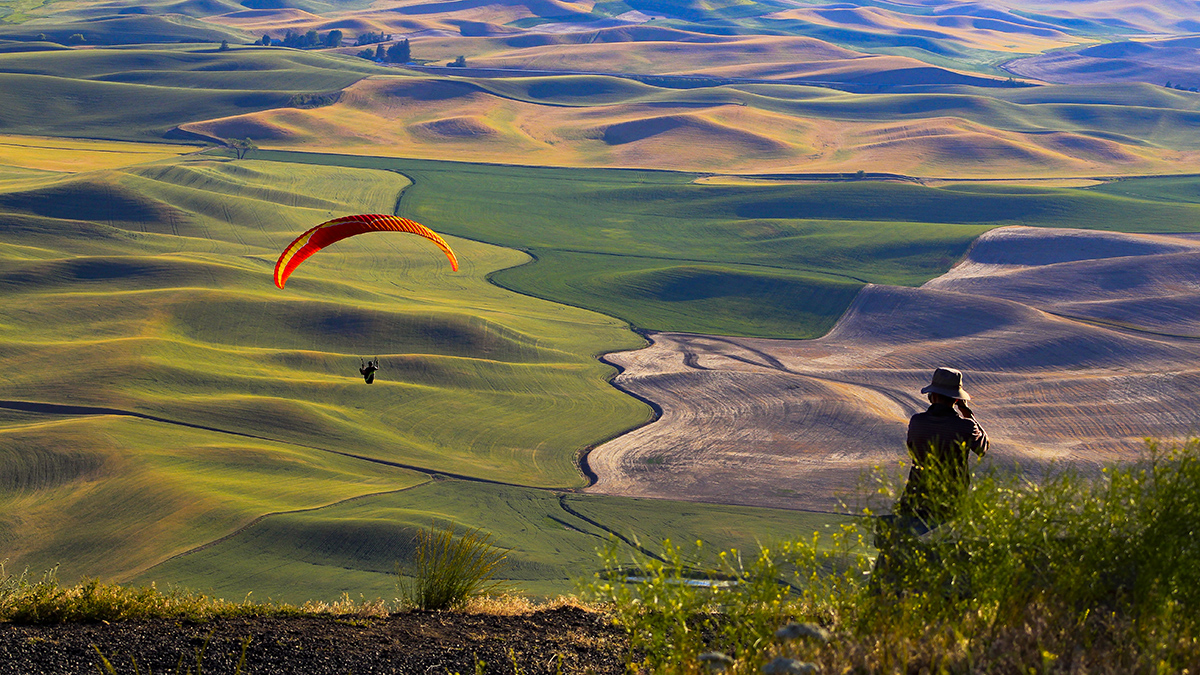 _MG_6204-1a.jpg : Wasinton@Palouse