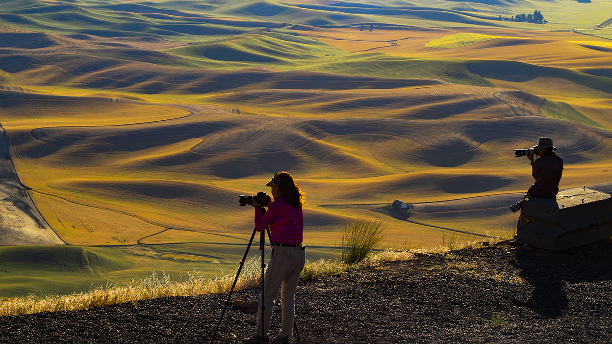 _MG_6229-1a.jpg : Wasinton@Palouse