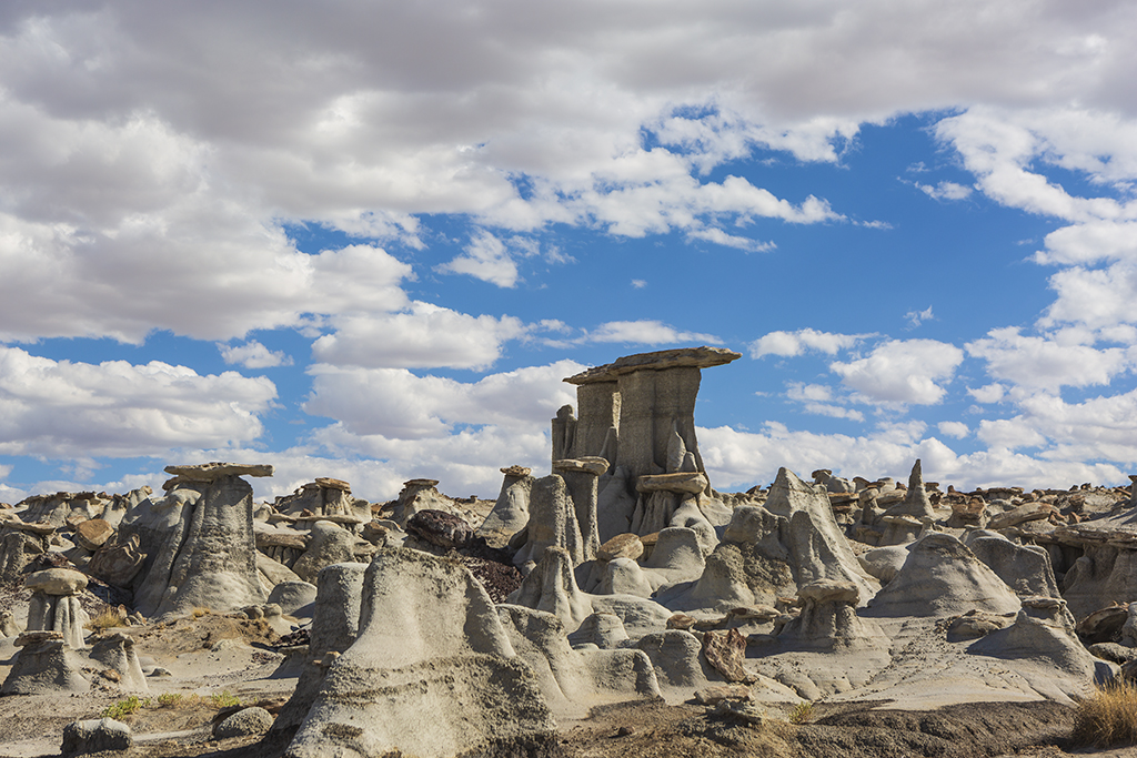 _32A0158.jpg : Bisti Badlands