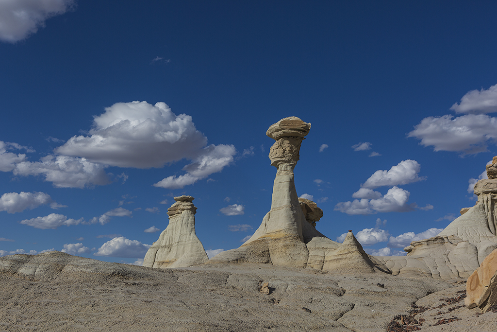 _32A0199.jpg : Bisti Badlands