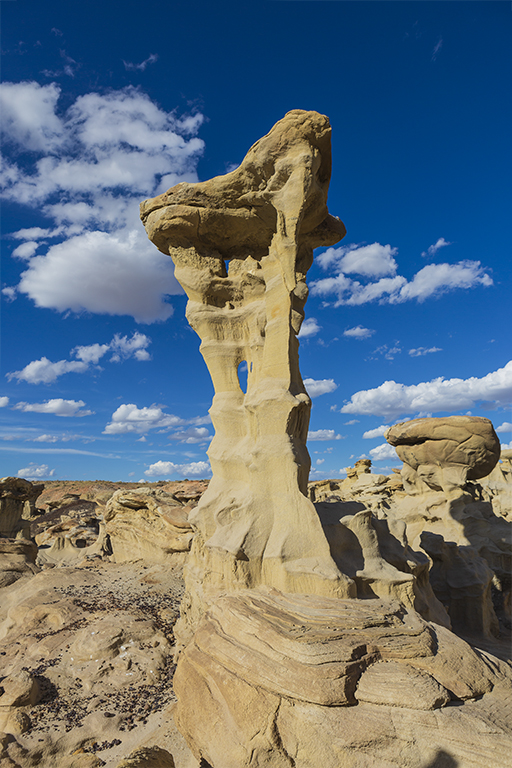 _32A0282.jpg : Bisti Badlands