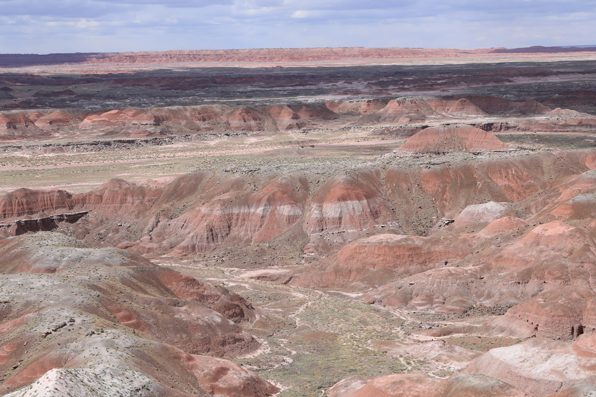 452A1547 - Copy.jpg : Petrifide Forest National Park