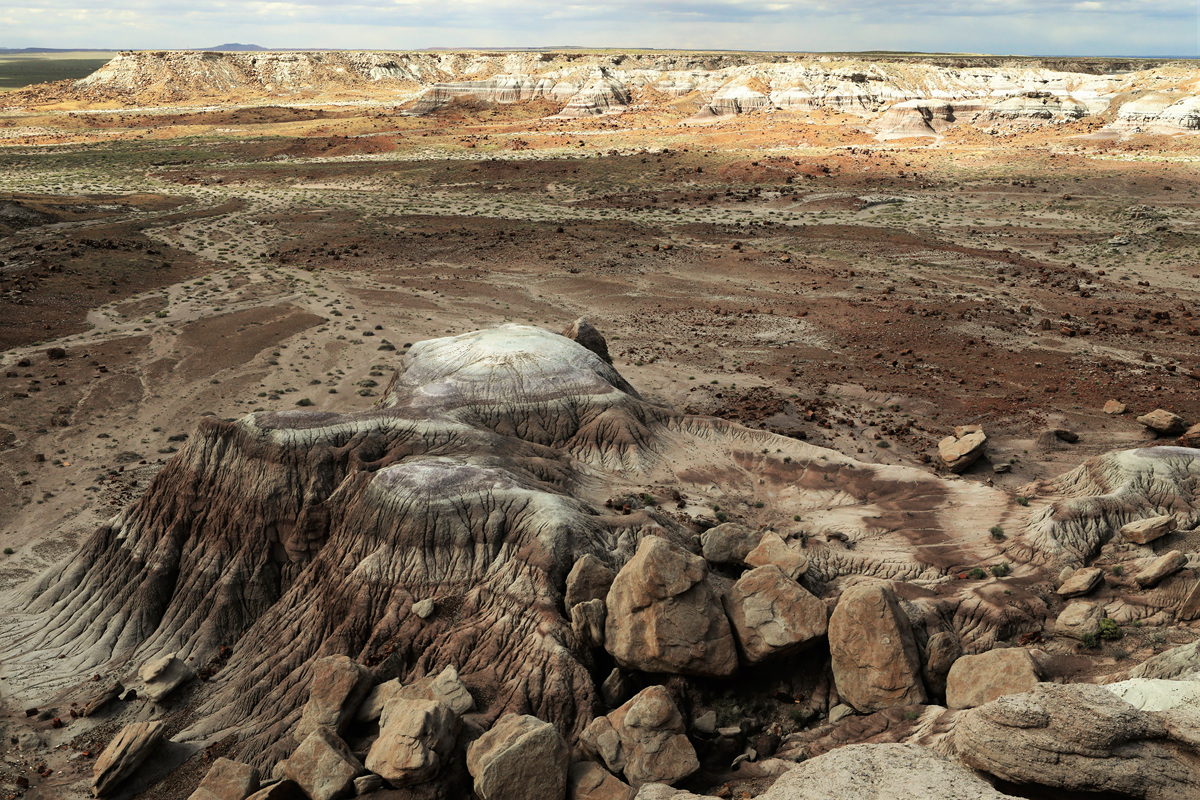 452A1570 (2).jpg : Petrifide Forest National Park