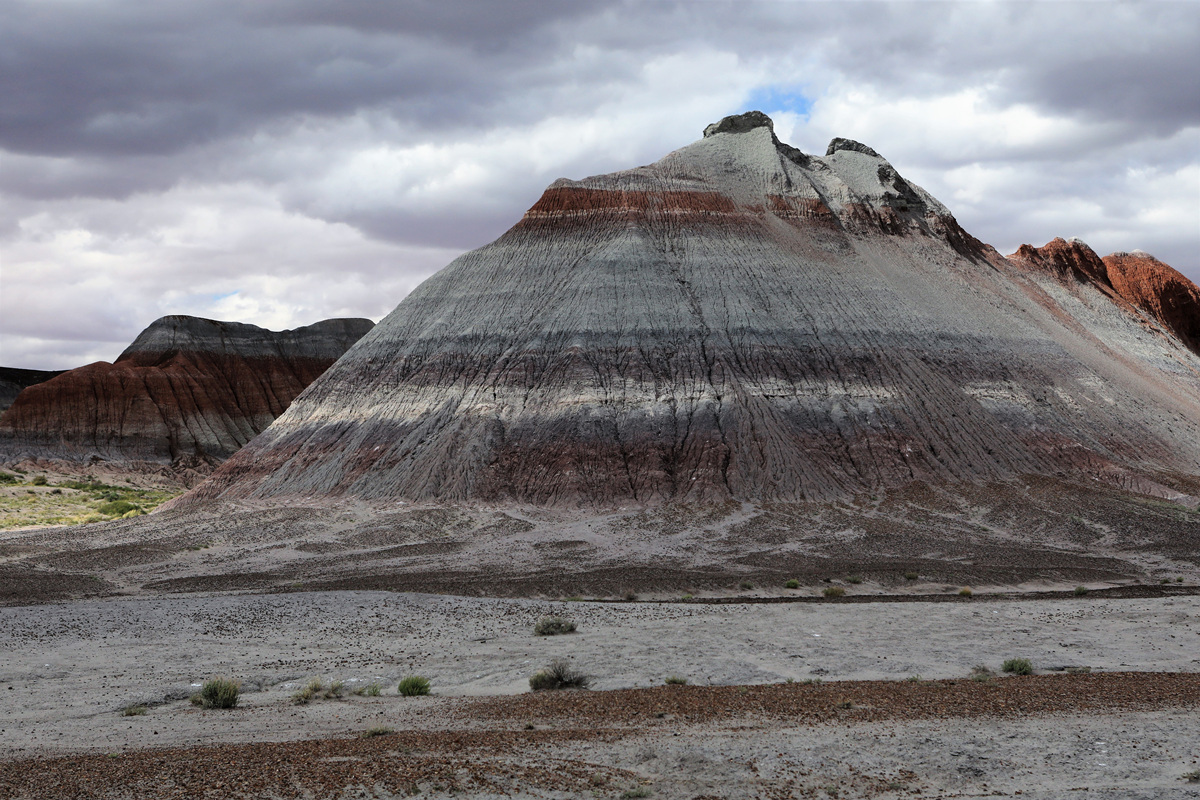 452A1557 (2).jpg : Petrifide Forest National Park