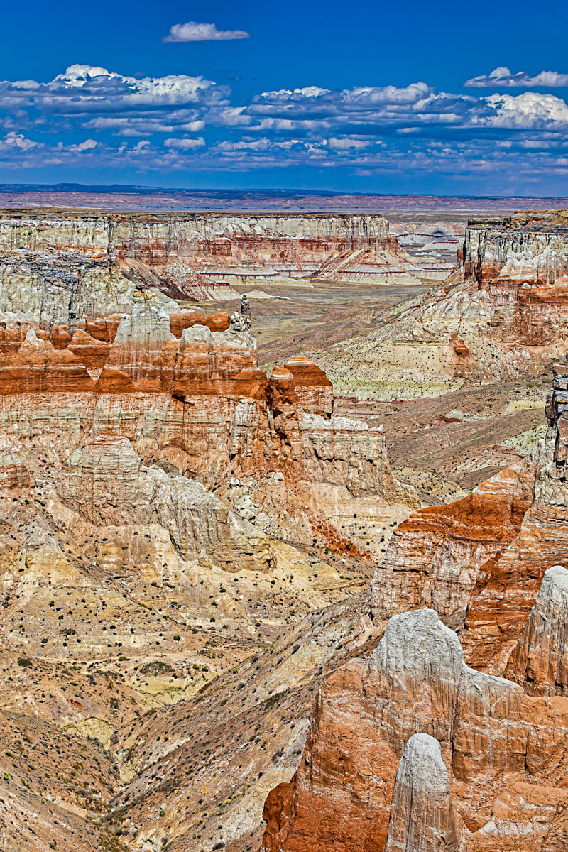 8B2A1007-Edit.jpg : Coal Mine Canyon