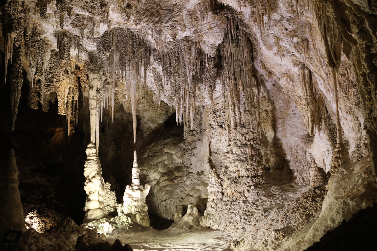 452A1945.jpg : Carlsbad Caverns