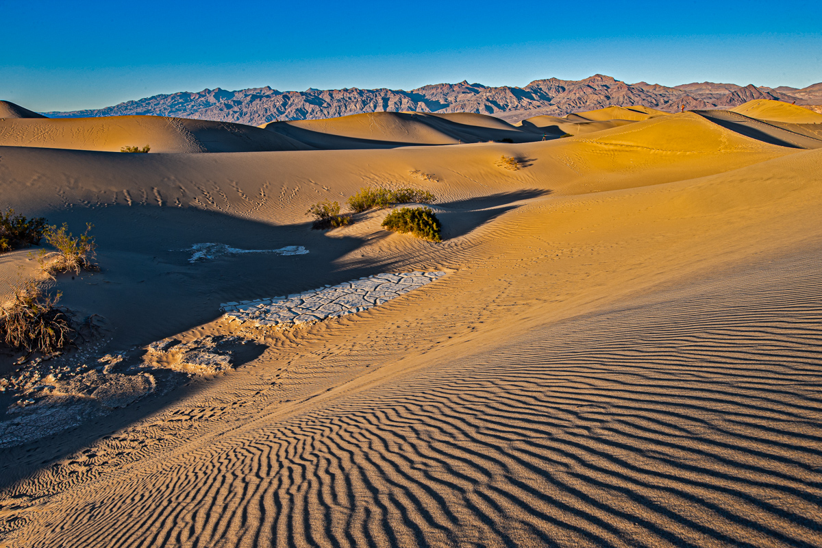 AB4W0158-Edit.jpg : Mesquite Flat Sand Dunes