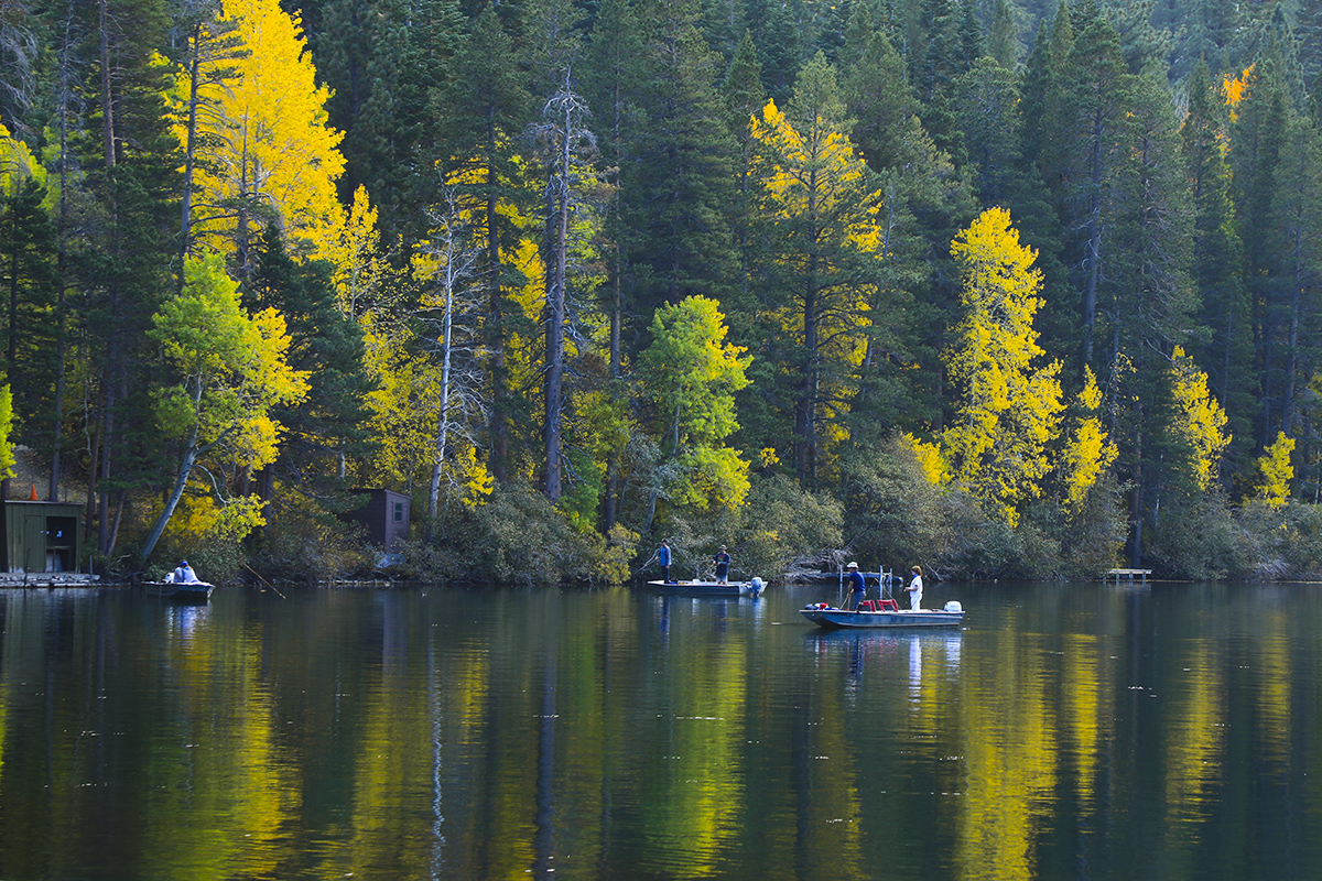 7R6A0491-1a.jpg : Gull Lake