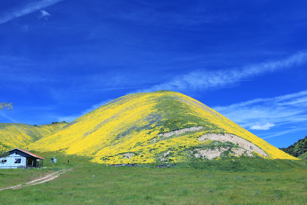 452A0277 (2).jpg : Carrizo Plain 에서