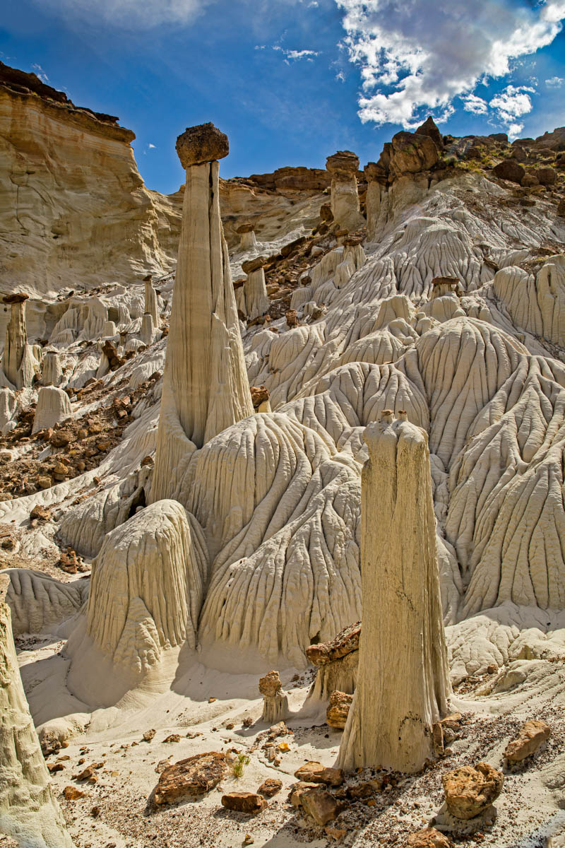 8B2A2885-Edit.jpg : White Ghost Hoodoo