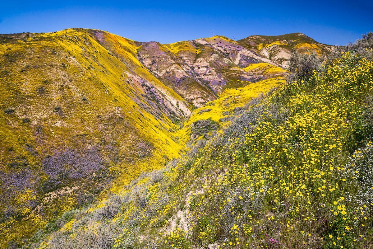 8B2A2059-Edit.jpg : Painted Hills