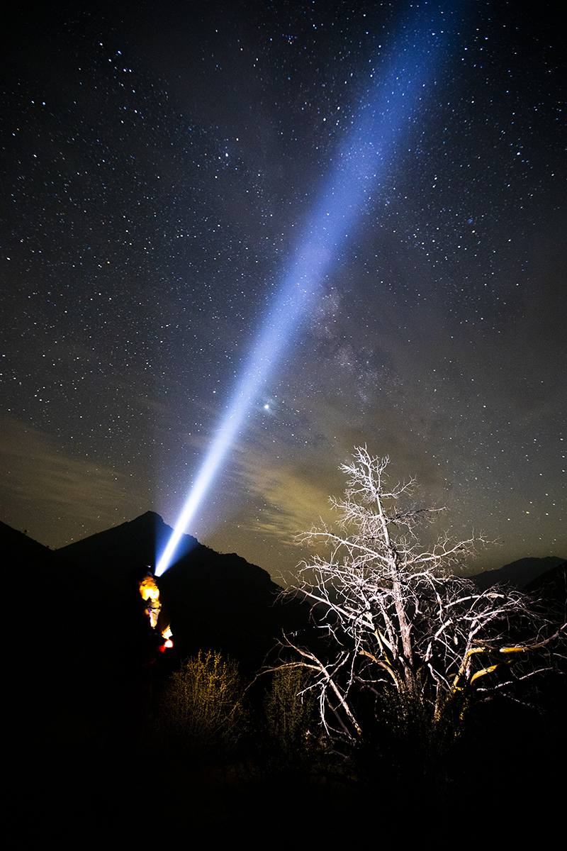 7R6A0302-1a.jpg : Milky Way@Sequoia Park