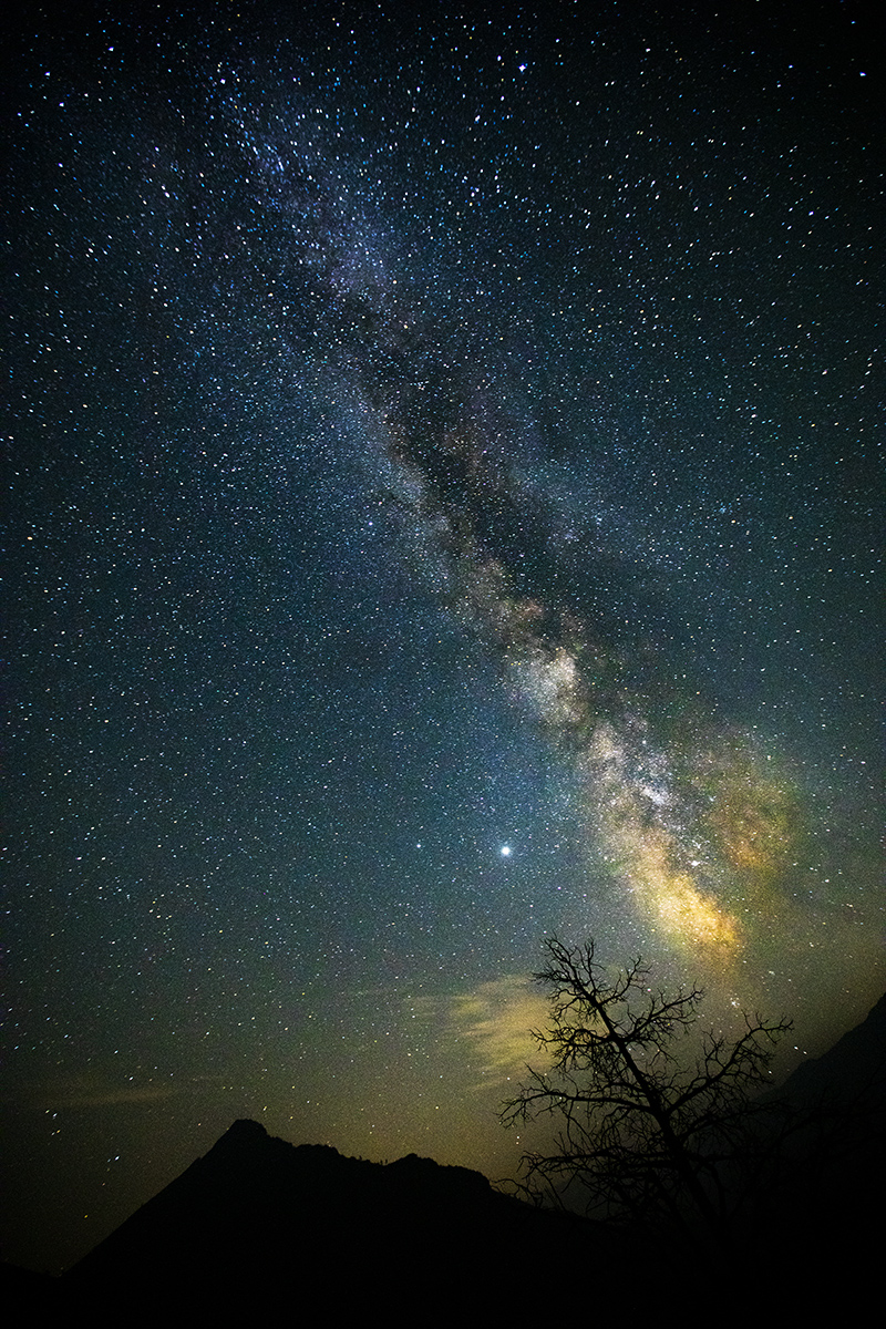 7R6A0317-1a.jpg : Milky Way@Sequoia Park