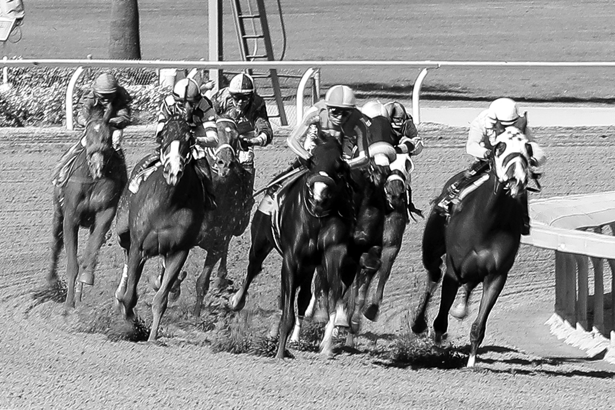 _L4A8906-1a.jpg : Horse Race