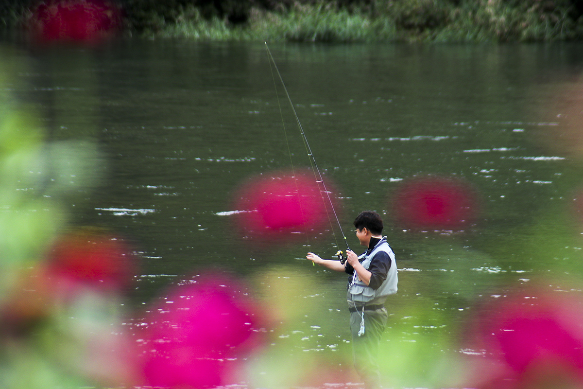 IMG_7123-1a.jpg : Fisherman