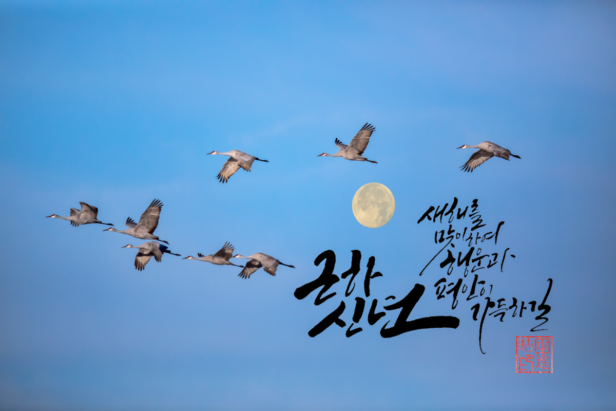 8B2A9339-Edit.jpg : 謹賀新年(근하신년)