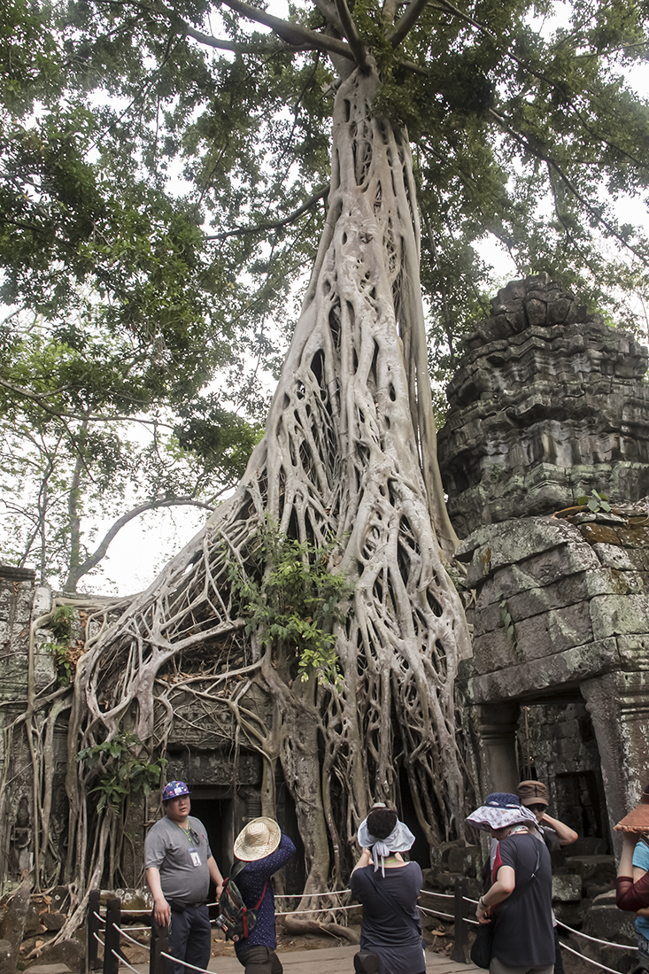 ANGKOR WAT 229-1.jpg