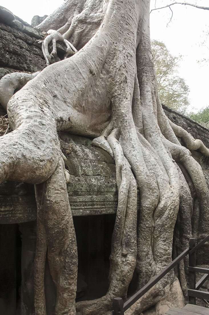 ANGKOR WAT 238-1.jpg