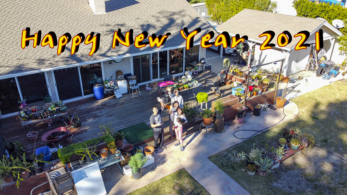 DJI_0011-1a.jpg : Happy New Year 2021!