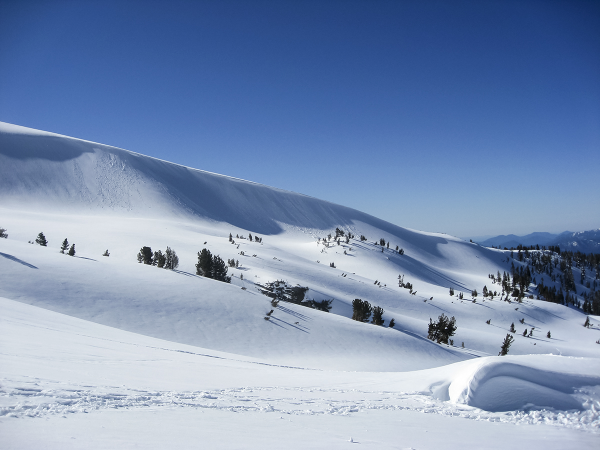 Mt.Shasta 108-1.jpg